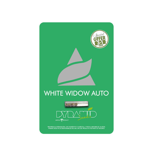WHITE WIDOW AUTO X3+1 PYRAMID SEEDS