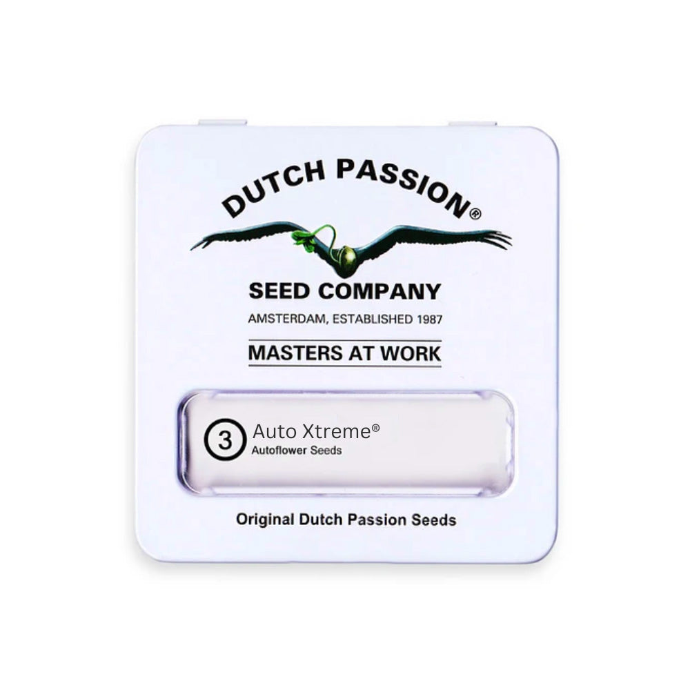 XTREME AUTO X3 - DUTCH PASSION