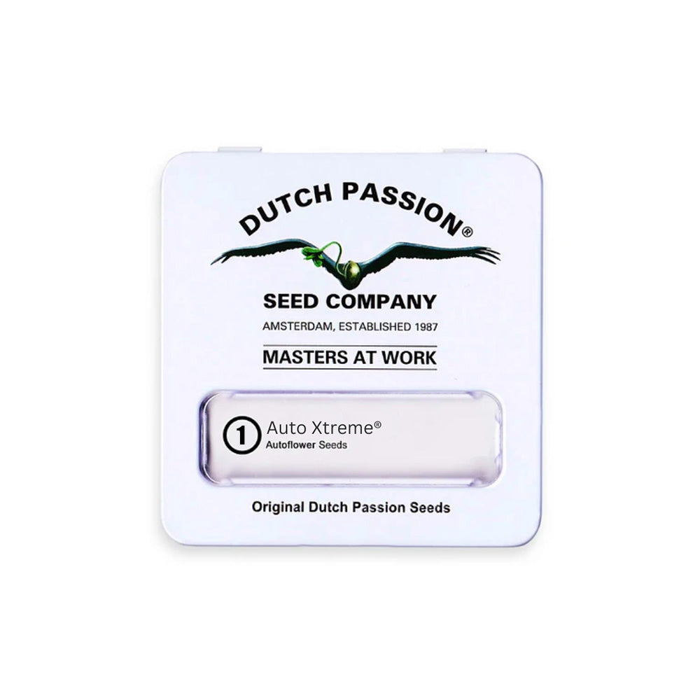 AUTO MAZAR X1 DUTCH PASSION