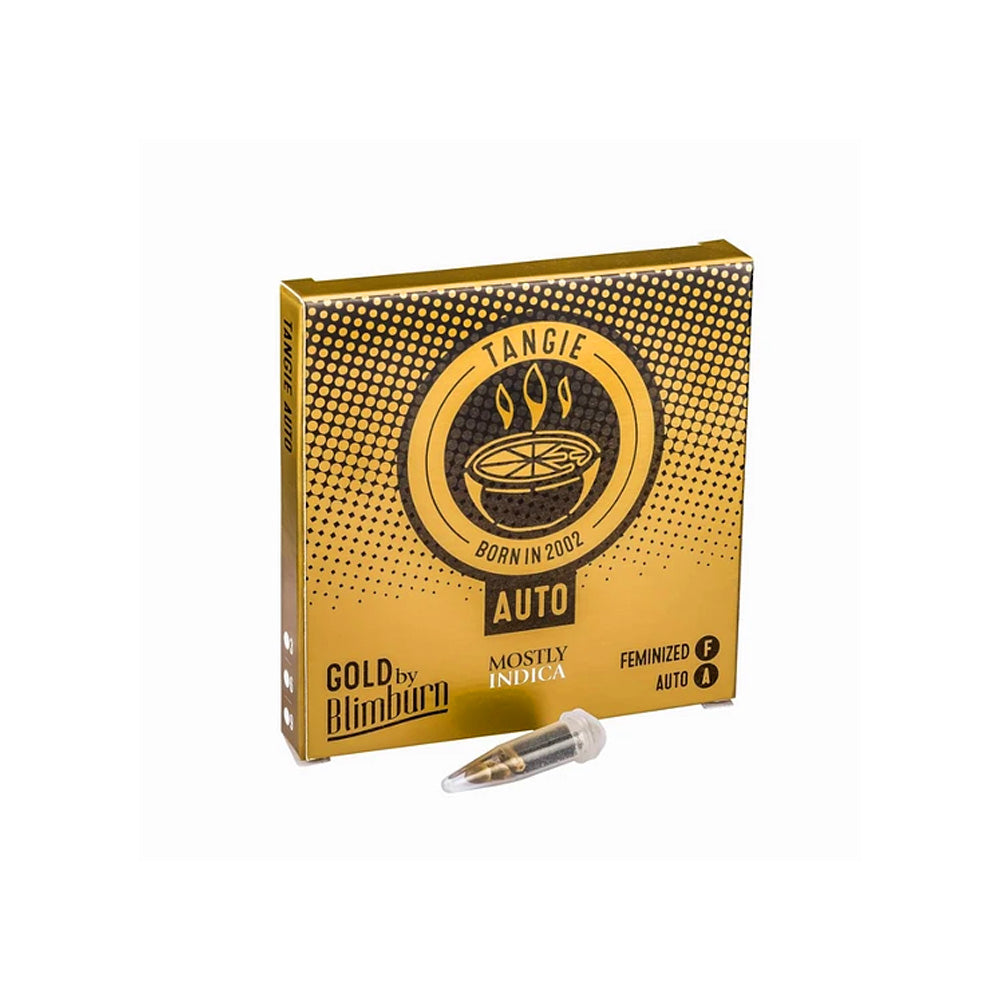 TANGIE AUTO X3 BLIMBURN-1
