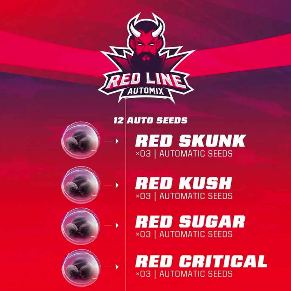 RED LINE AUTOMIX X12 BSF SEEDS