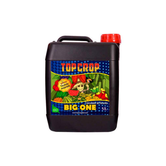 BIG ONE TOP CROP 5LT