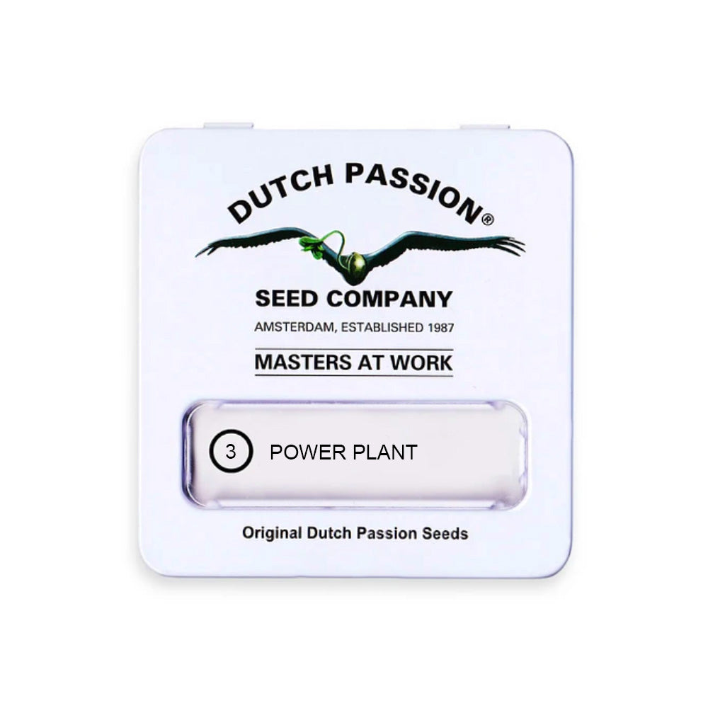 POWER PLANT FEM X3 DUTCH PASSION-1