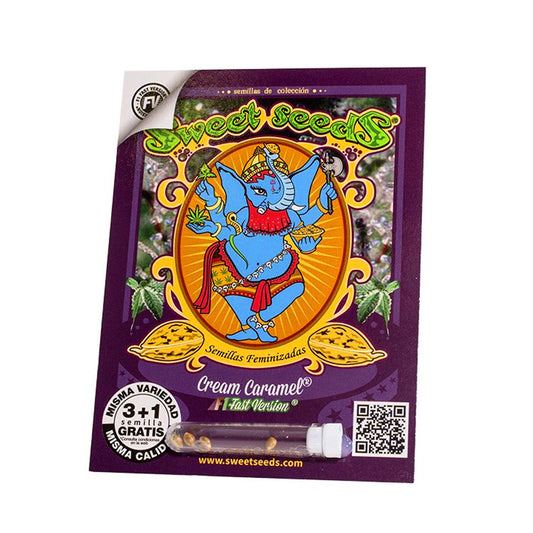 CREAM CARAMEL F1 X3+1 SWEET SEEDS