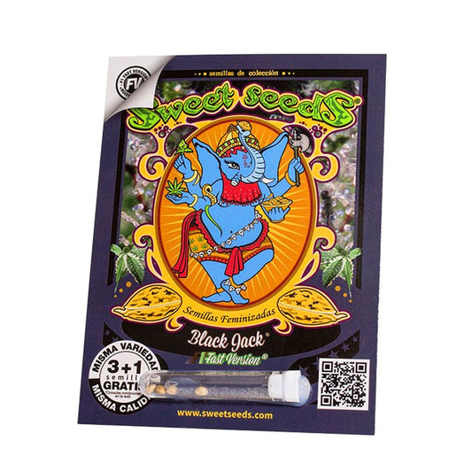 BLACK JACK F1 X3+ 1 SWEET SEEDS