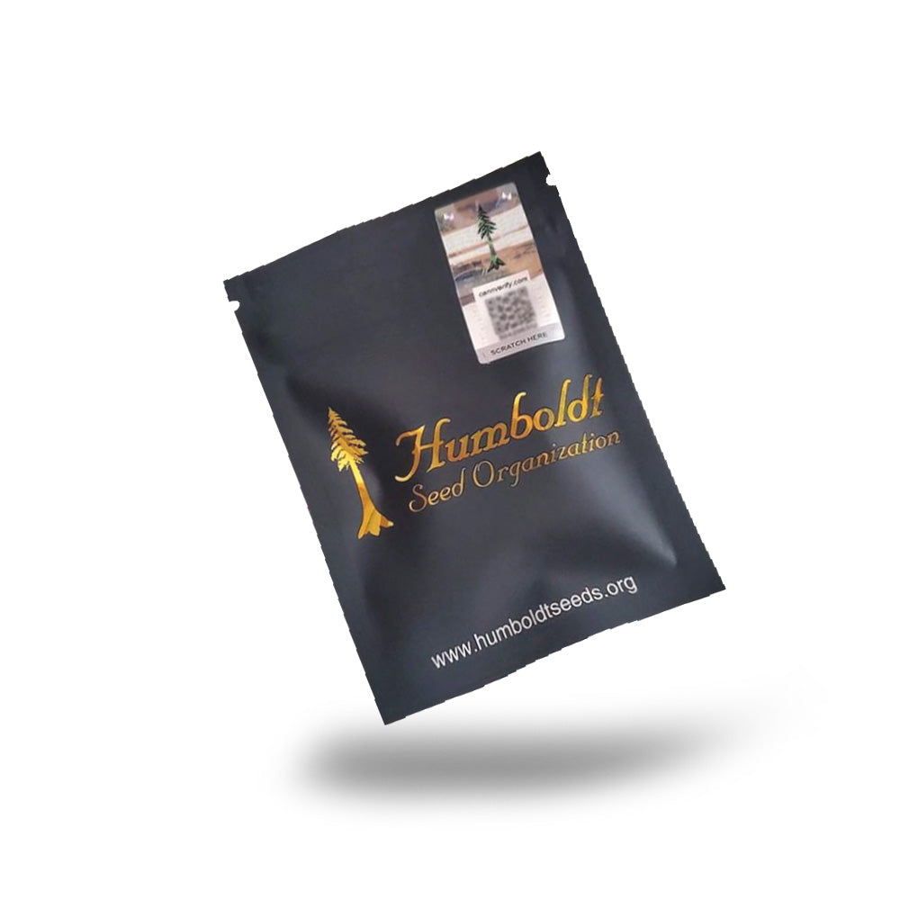 OGKZ AUTO X 3 HUMBOLDT SEEDS