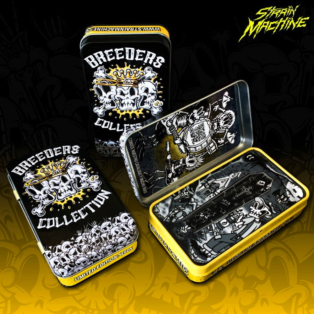 NORTHERN LIGHTS x AMNESIA FEM X3 STRAIN MACHINE