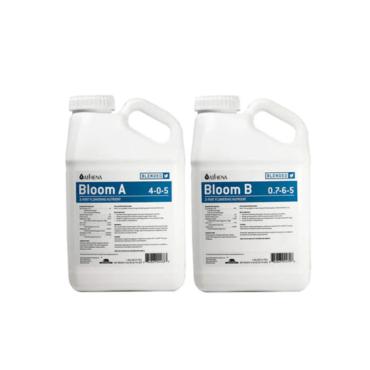BLOOM A+B  3.78L  ATHENA