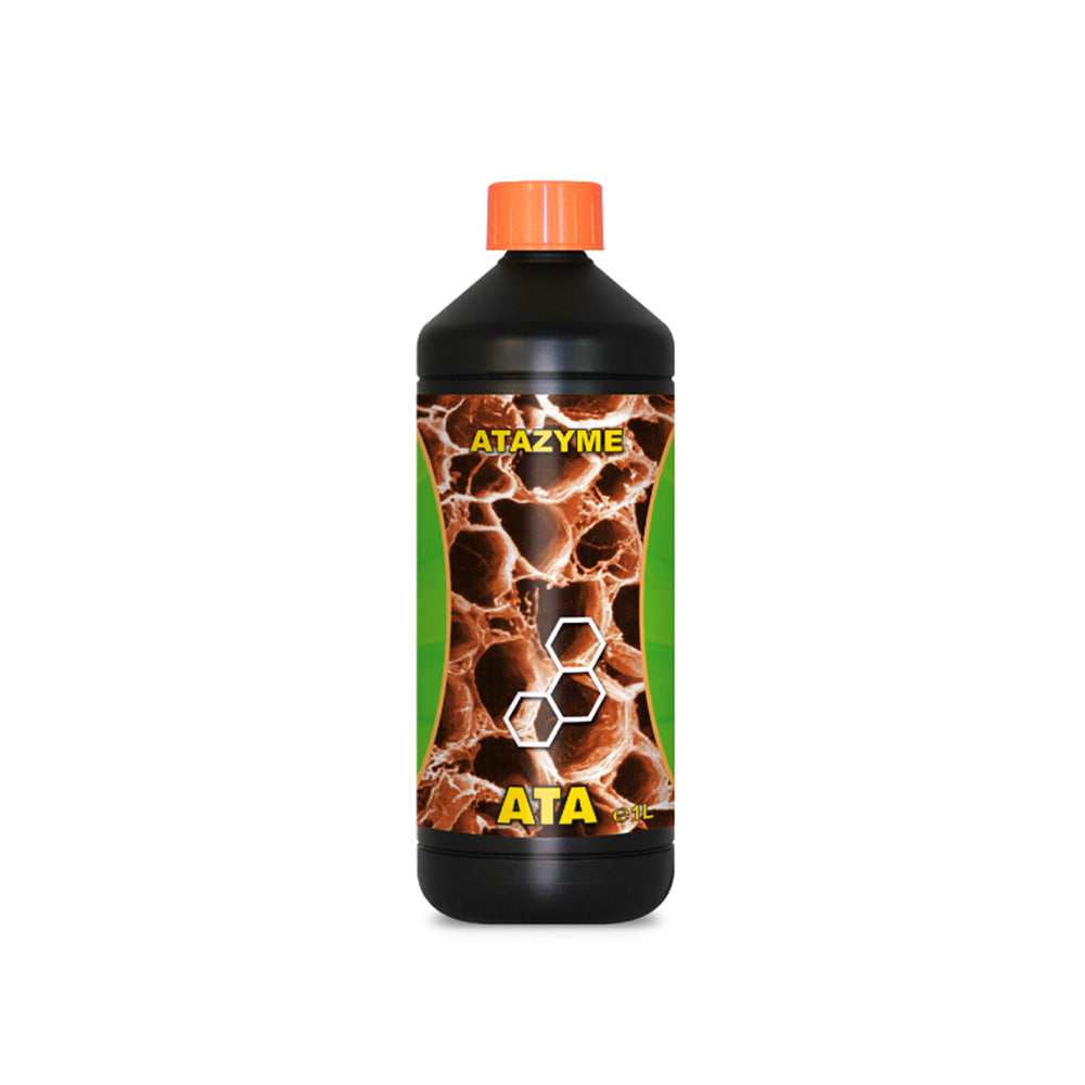 ATA ZYME 1L - ATAMI