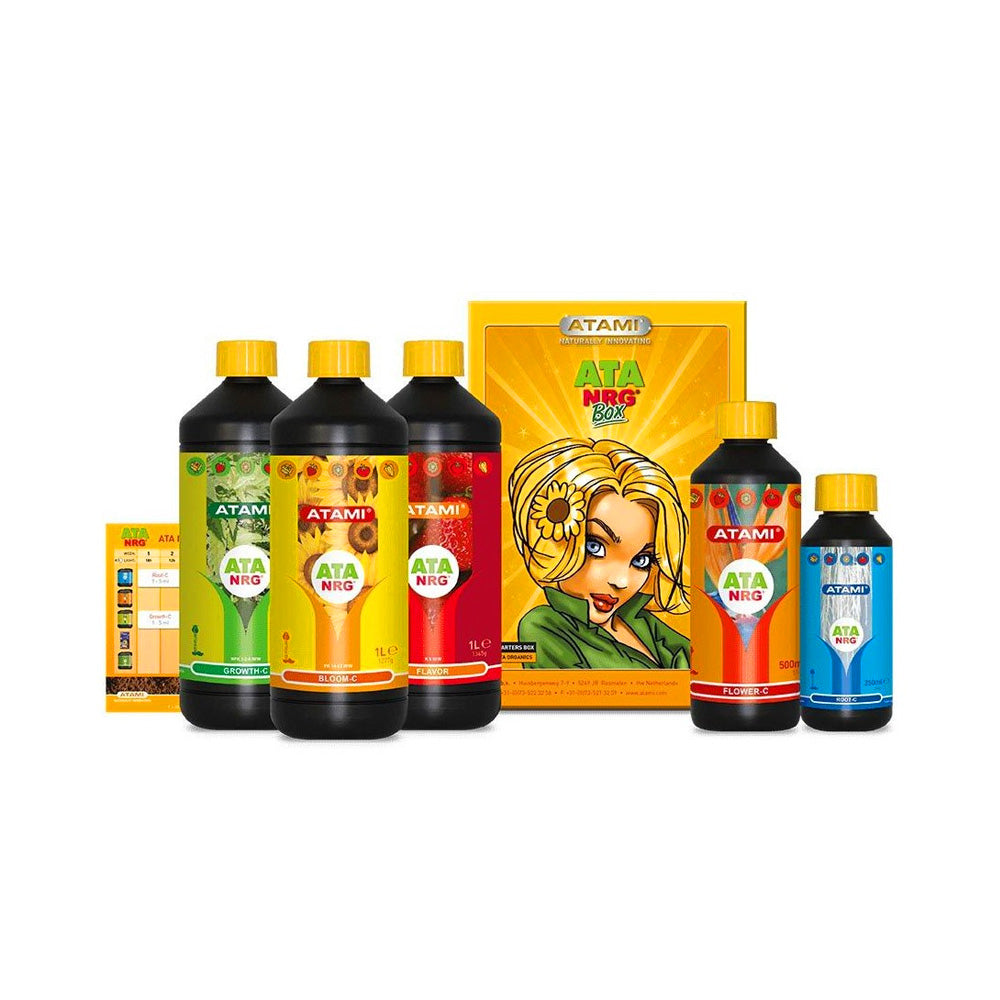 ATA ORGANIC BOX - ATAMI