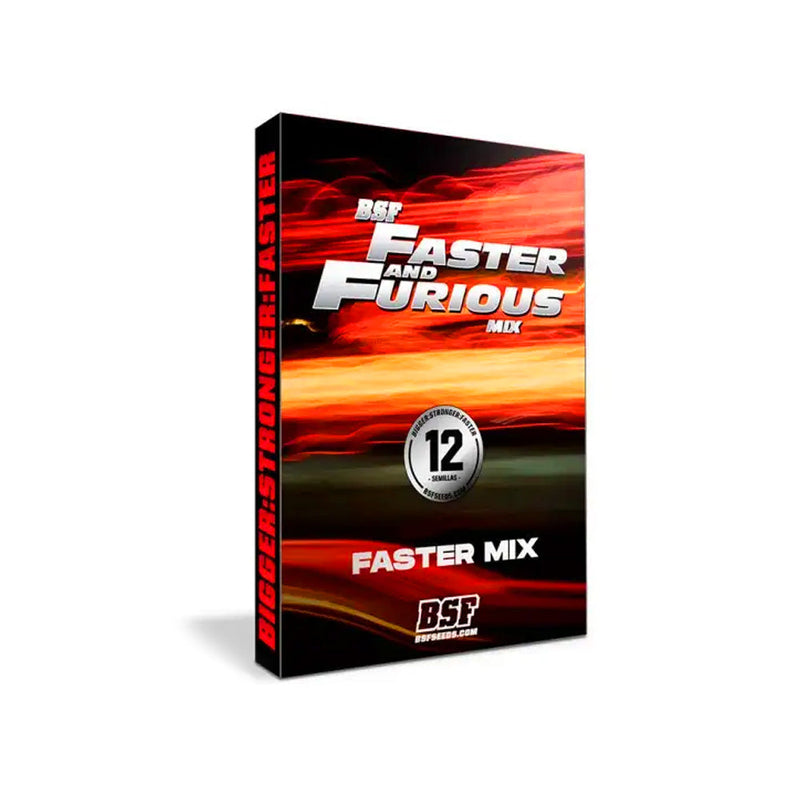 FASTER AND FURIOUS FASTER MIX X12 BSF SEEDS-7