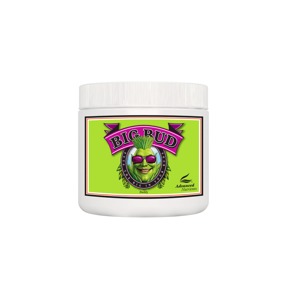 BIG BUD POWDER 500G - ADVANCED NUTRIENTS