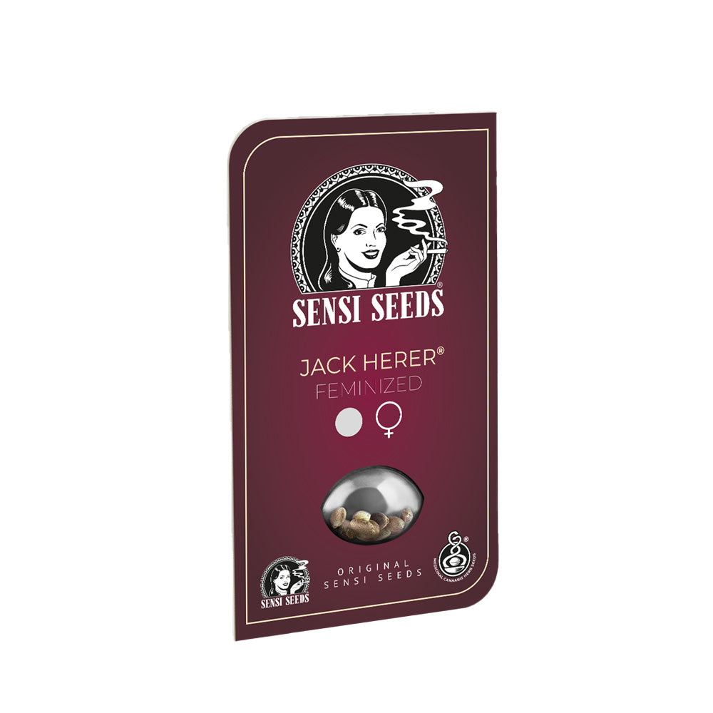 JACK HERER FEM X3 SENSI SEEDS-1