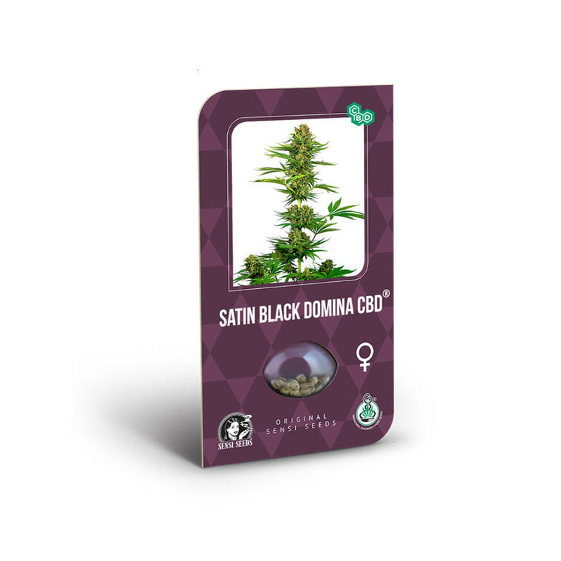 SATIN BLACK DOMINA CBD FEM X3 - SENSI SEEDS-2
