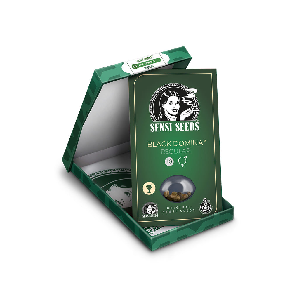 BLACK DOMINA REGULAR X10 SENSI SEEDS