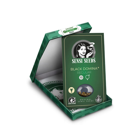 BLACK DOMINA REGULAR X10 SENSI SEEDS