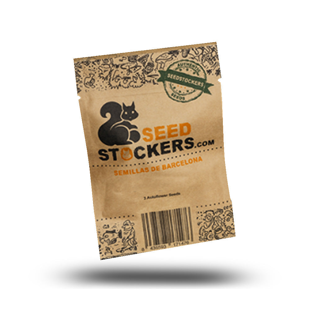 SANTA MARTA HAZE AUTO X 3 SEED STOCKERS-1