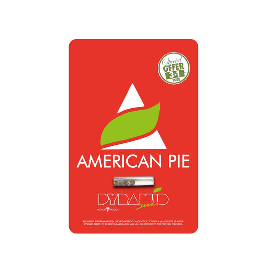 AMERICAN PIE FEM 3+1 PYRAMID SEEDS