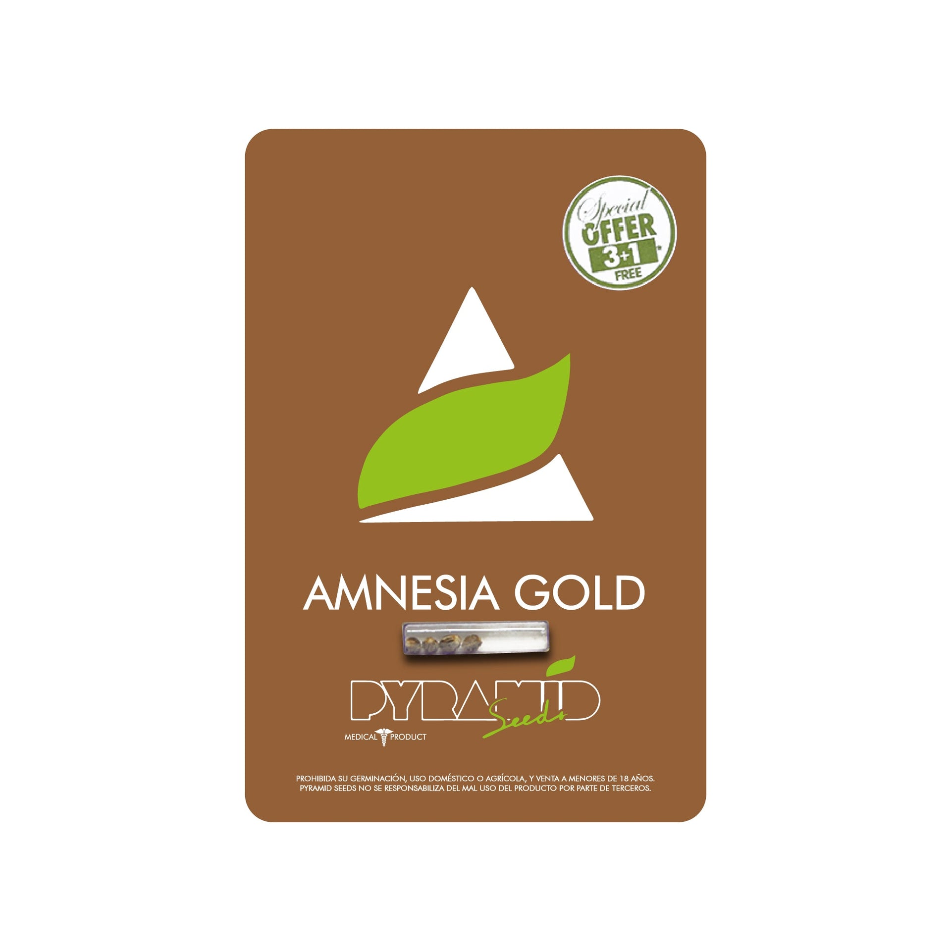AMNESIA GOLD 3+1  PYRAMID SEEDS