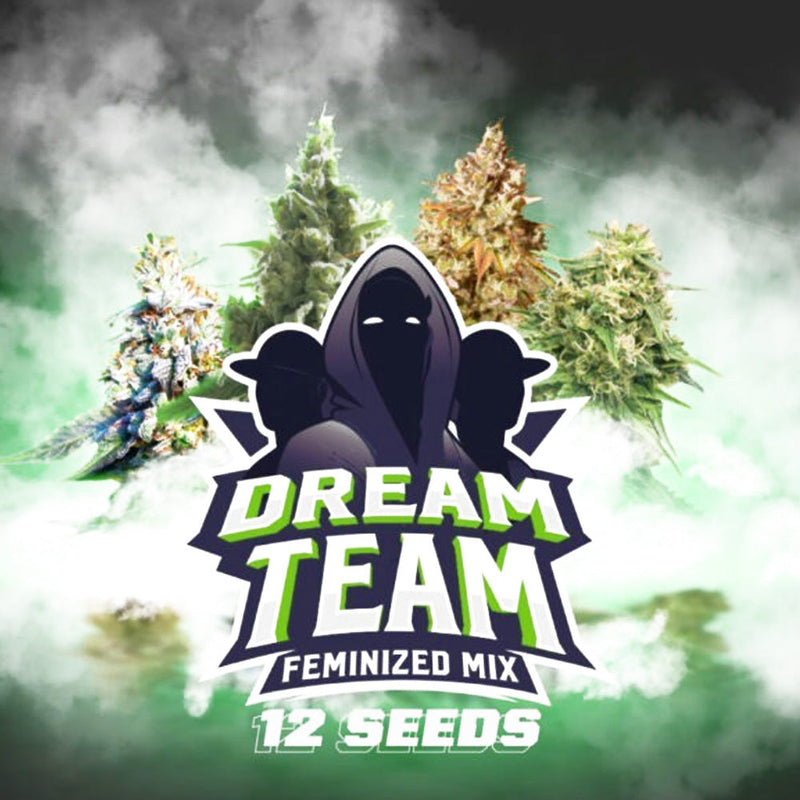 DREAM TEAM FEM MIX X12 BSF SEEDS-1