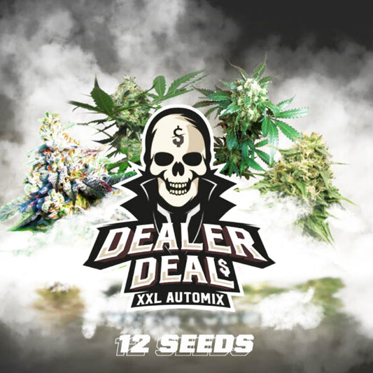 DEALER DEAL XXL AUTOMIX X12 BSF SEEDS