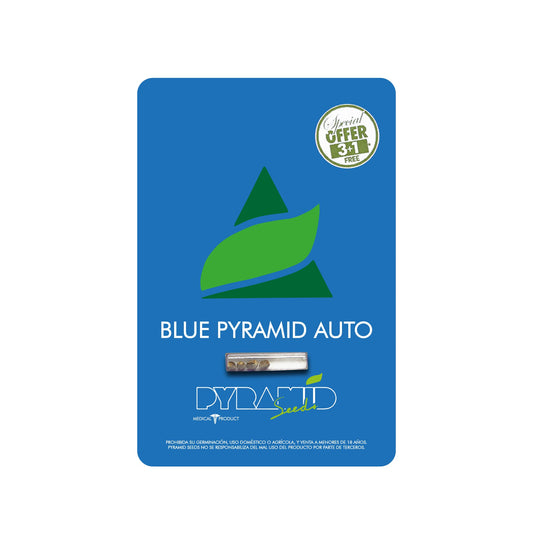 BLUE PYRAMID AUTO 3+1 PYRAMID SEEDS