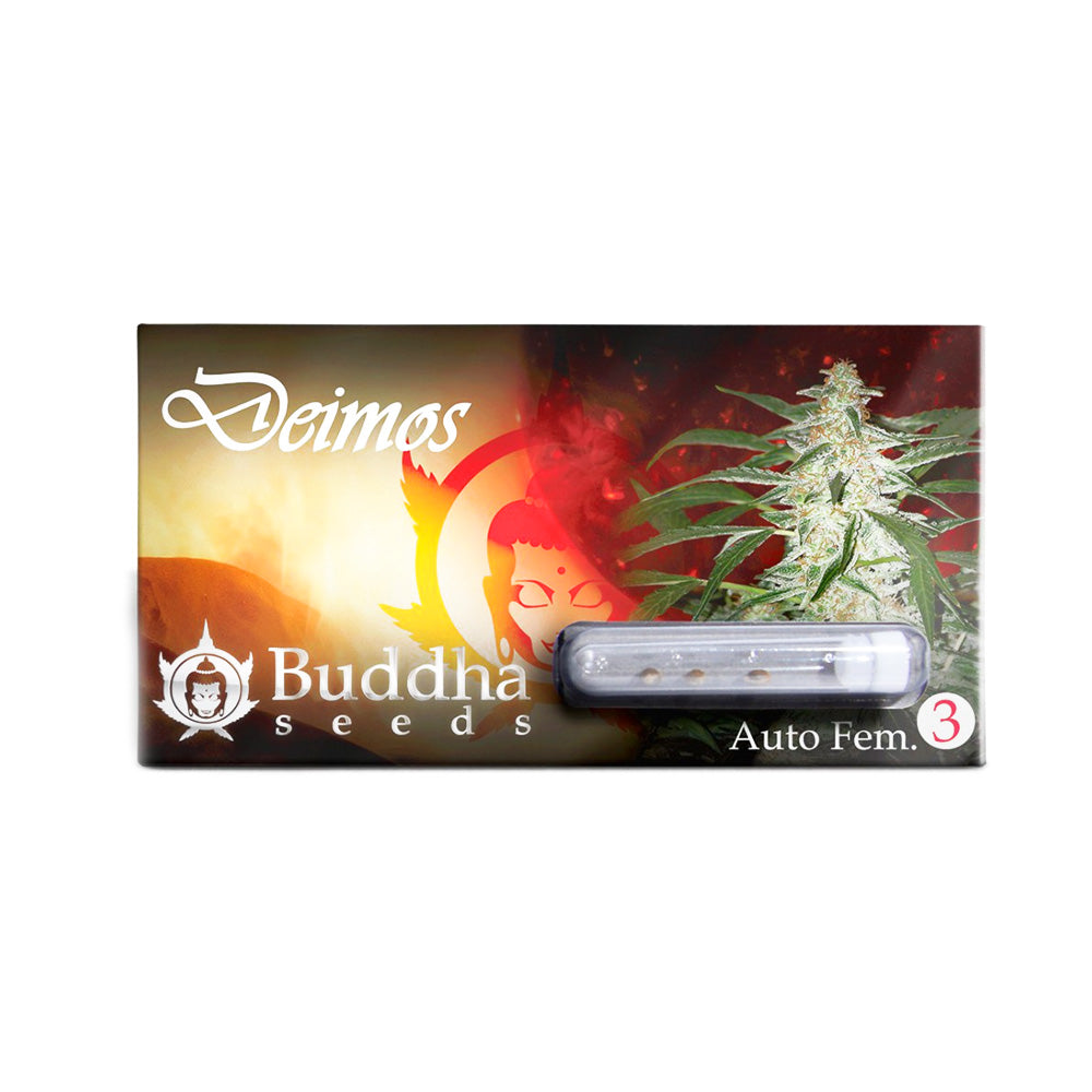 DEIMOS AUTO X3 BUDDHA SEEDS