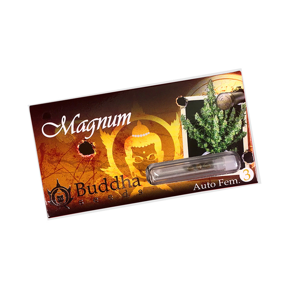 MAGNUM AUTO 3+1 - BUDDHA SEEDS-2
