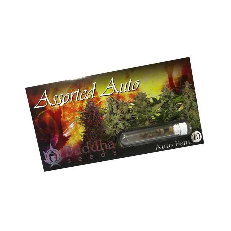 ASSORTED MIX AUTO X10 - BUDDHA SEEDS-1
