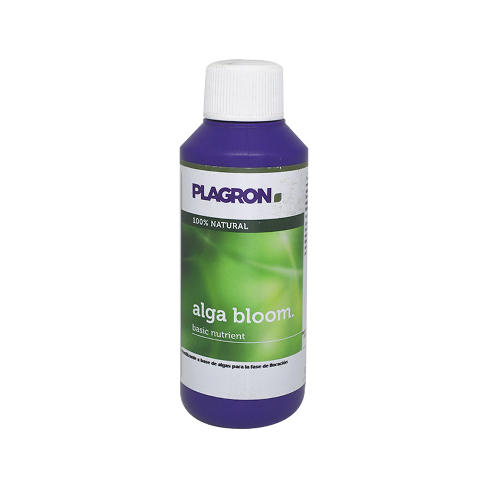 ALGA BLOOM 100ML PLAGRON