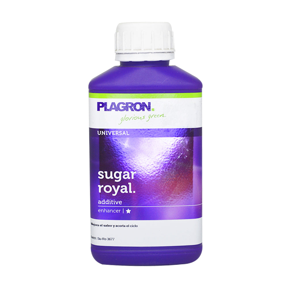 SUGAR ROYAL 500ML PLAGRON