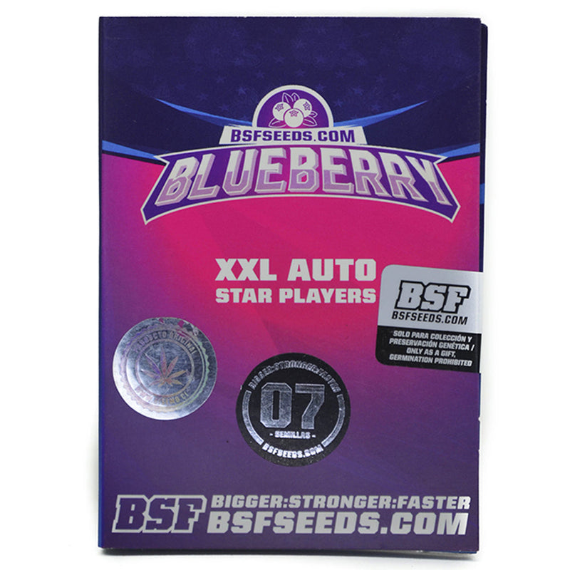 BLUEBERRY XXL AUTO X2 BSF SEEDS-3