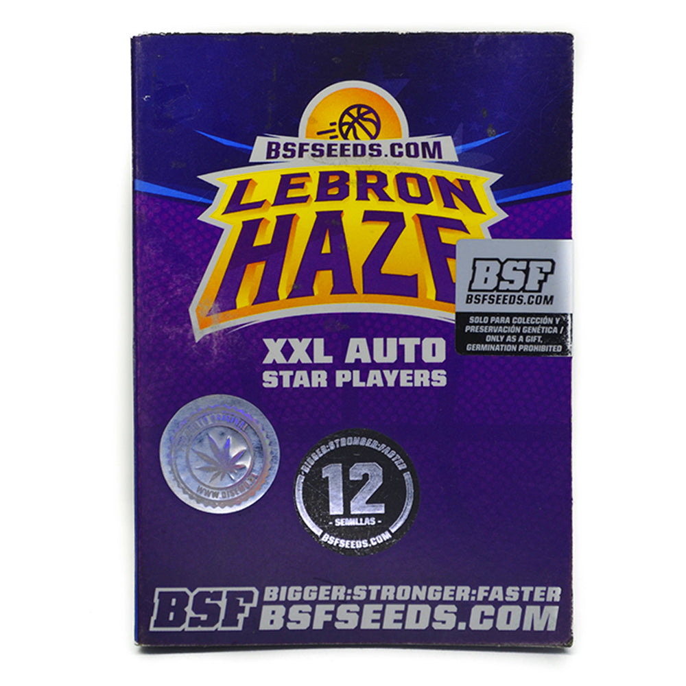 LEBRON HAZE XXL AUTO X12 BSF SEEDS