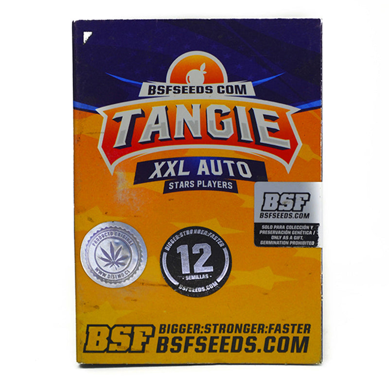 TANGIE XXL AUTO X12 BSF SEEDS-3