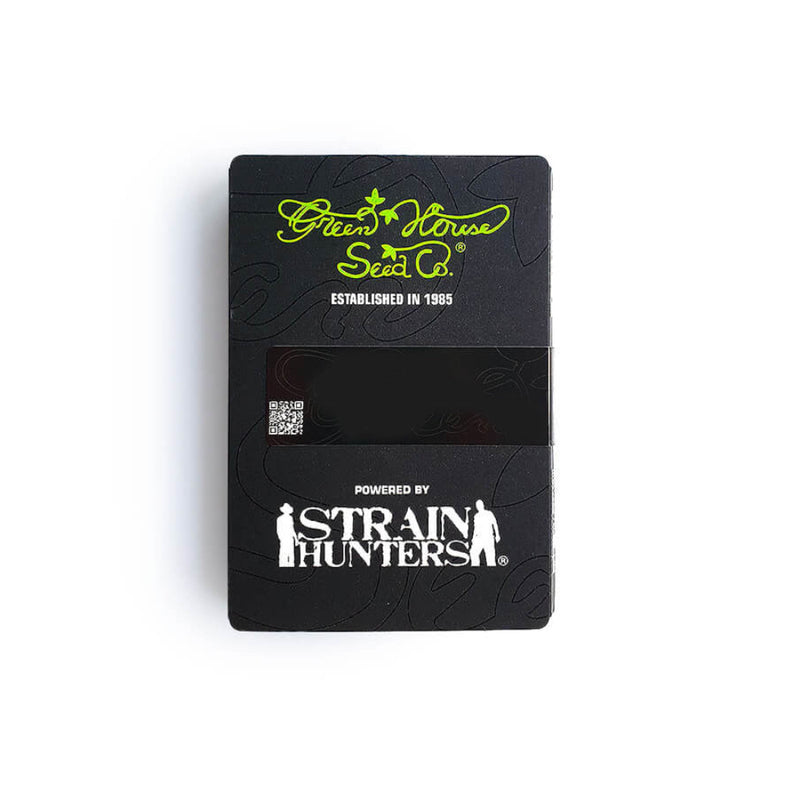 EXODUS CHEESE AUTO X3 - GREEN HOUSE SEED-2