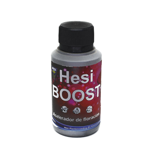 BOOST 100 ML HESI