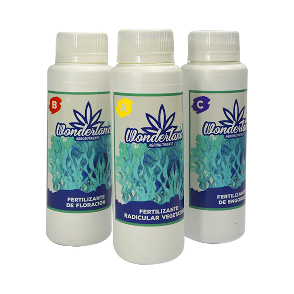 TRIPACK ORGANICO BASE ALGAS 250ML - WONDERLAND