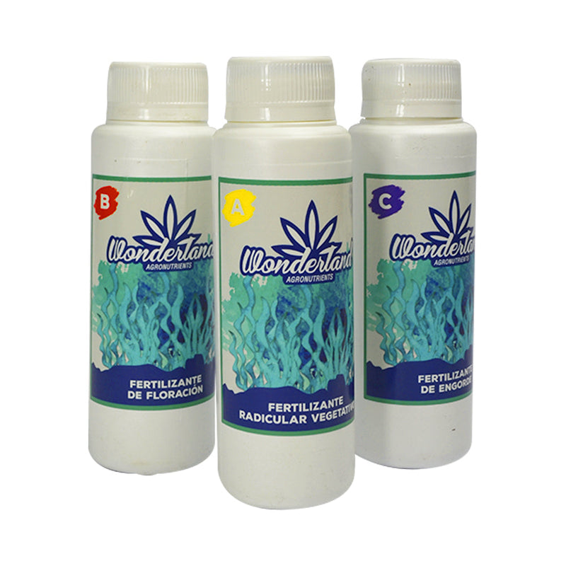 TRIPACK ORGANICO BASE ALGAS 250ML - WONDERLAND-1