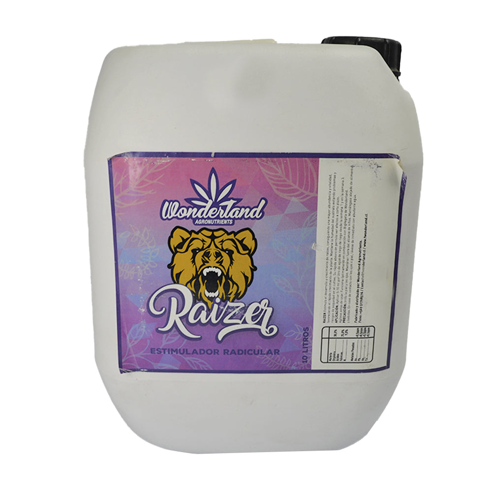 RAIZER 5LT - WONDERLAND