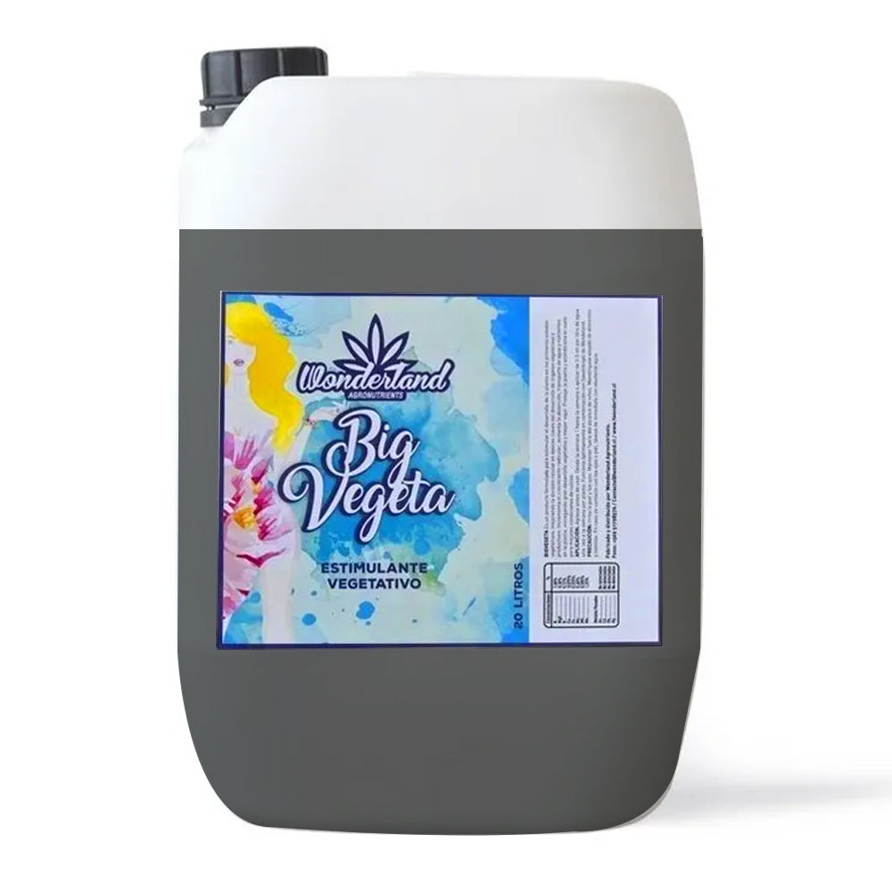 BIG VEGETA 5 LT WONDERLAND