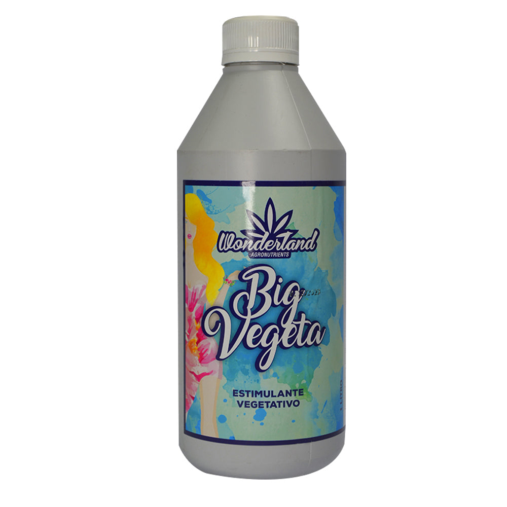 BIG VEGETA 1LT WONDERLAND