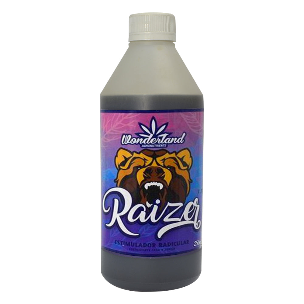 RAIZER 1LT - WONDERLAND