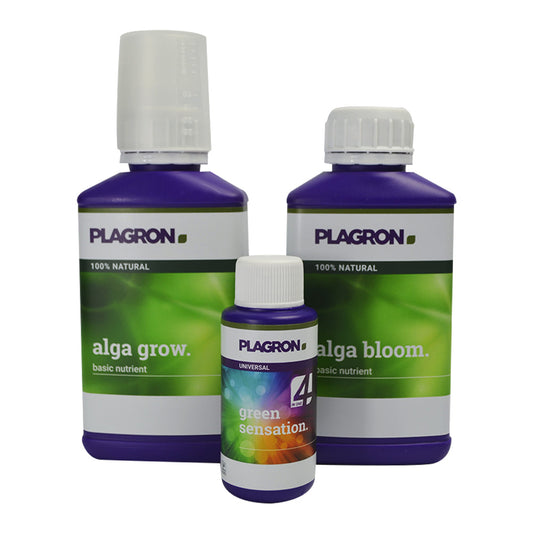 EASY PACK ORGANICO PLAGRON