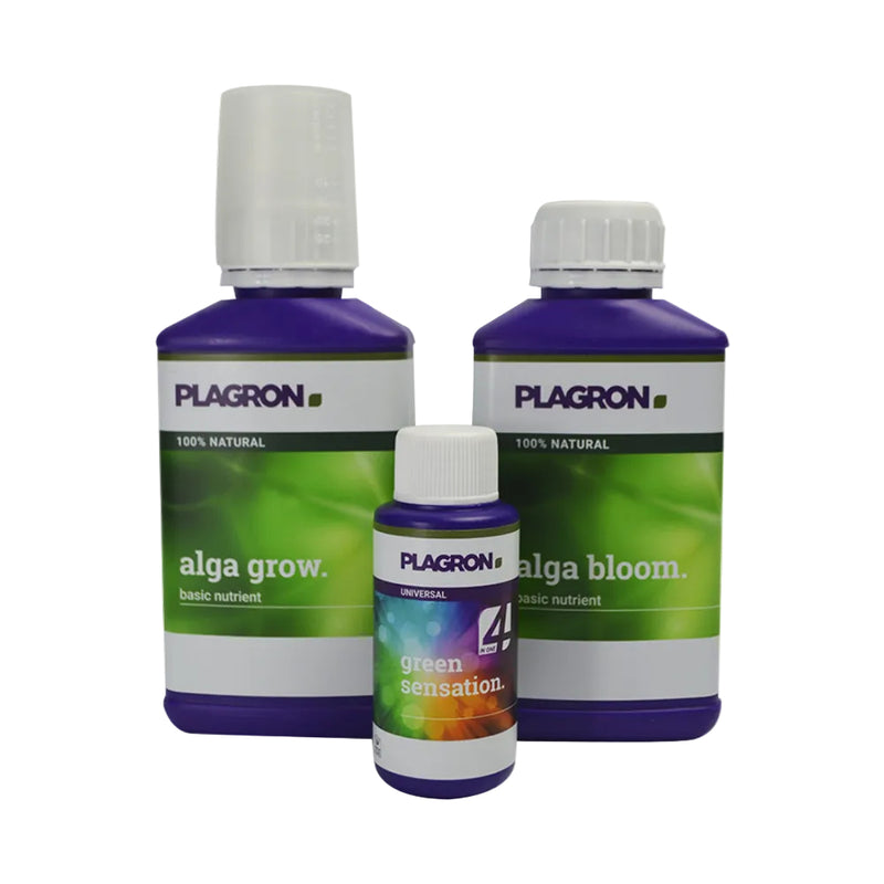 EASY PACK ORGANICO - PLAGRON-1