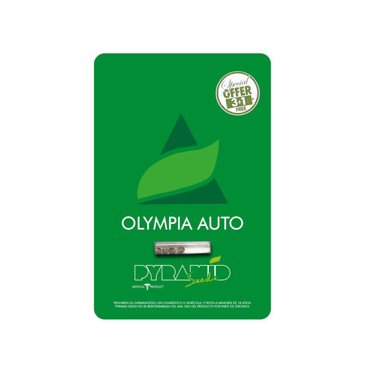 OLYMPIA AUTO 3+1 PYRAMID SEEDS