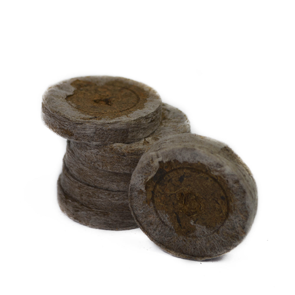 JIFFY 44MM