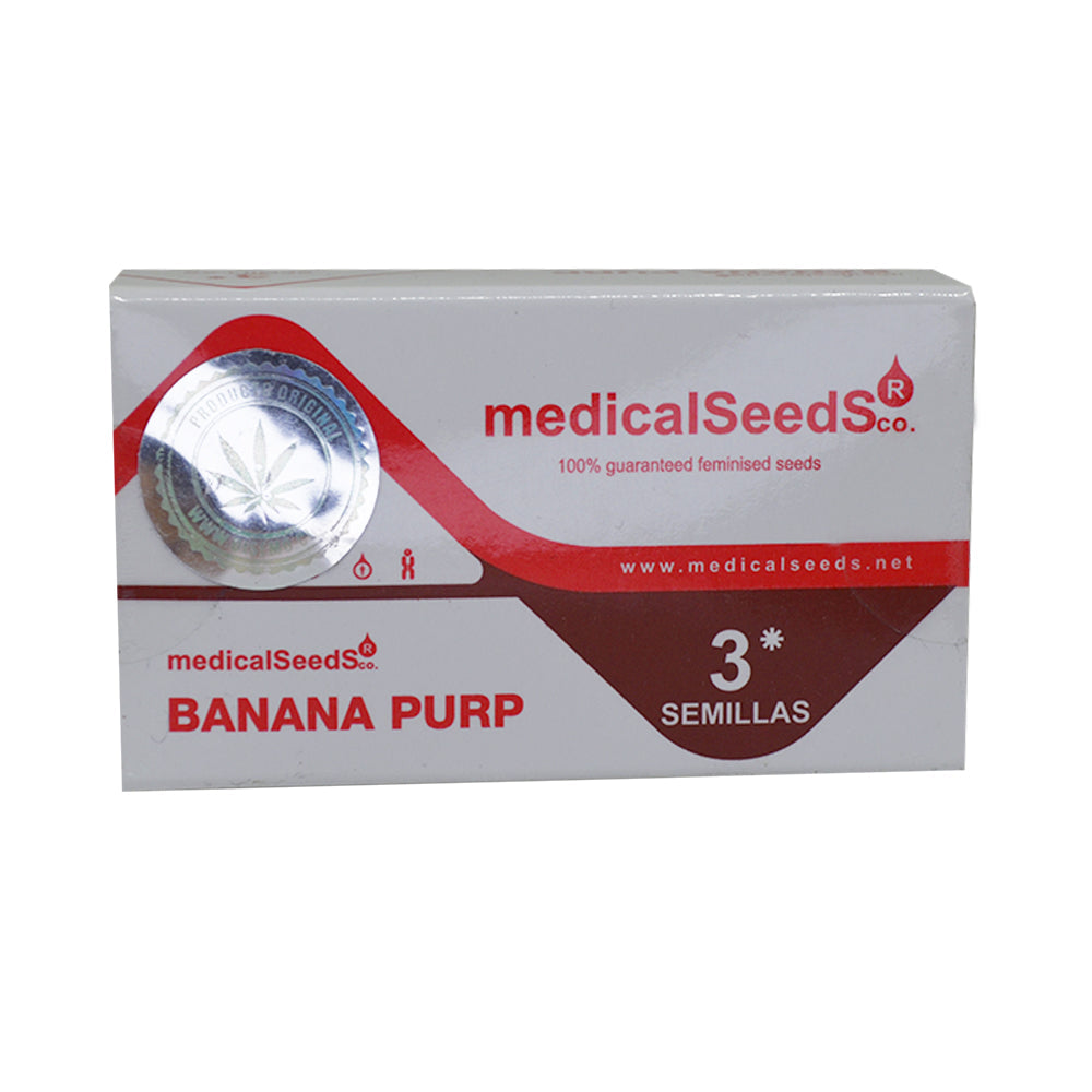 BANANA PURP FEM  X3 MEDICAL SEEDS