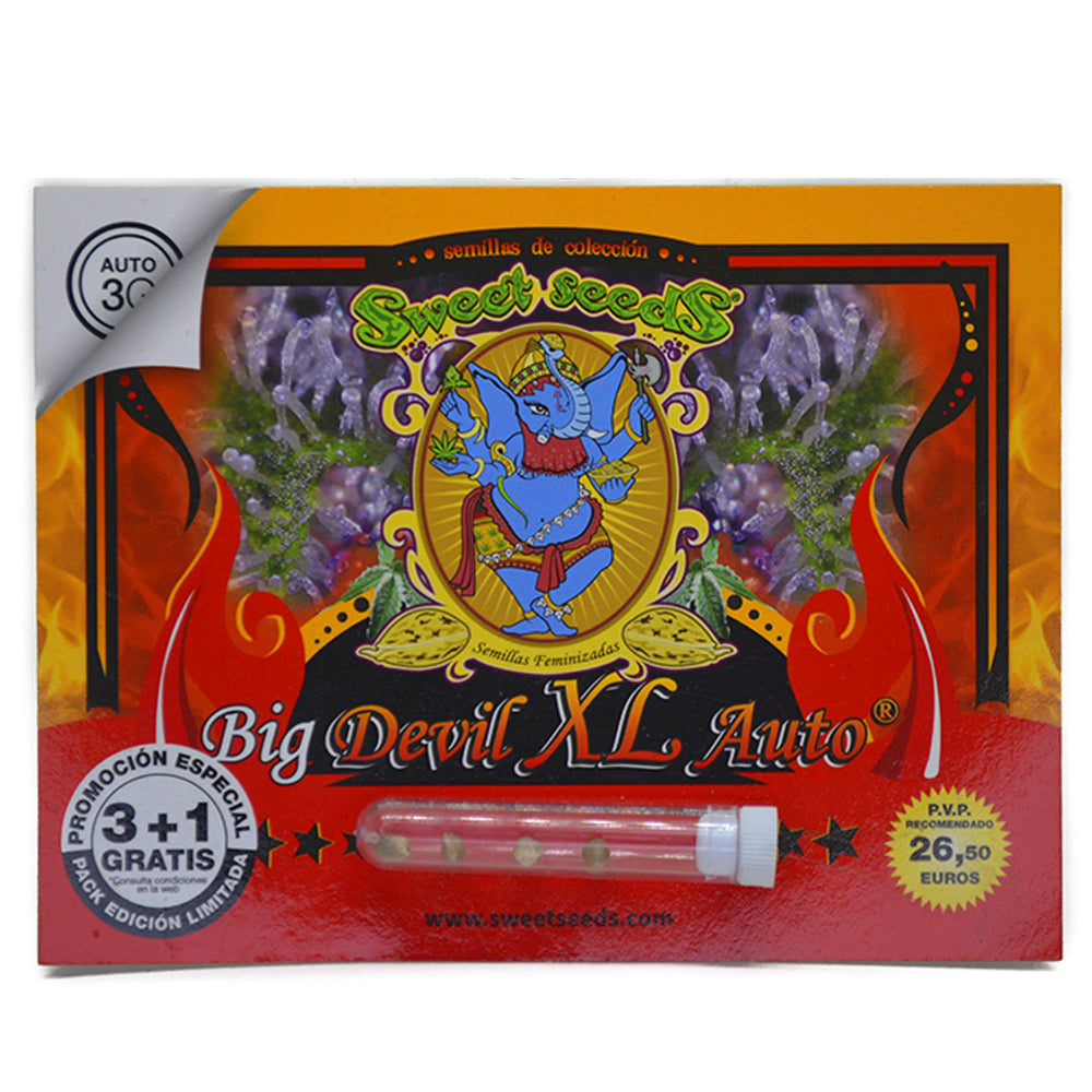 BIG DEVIL XL AUTO X3+1 - SWEET SEEDS-1