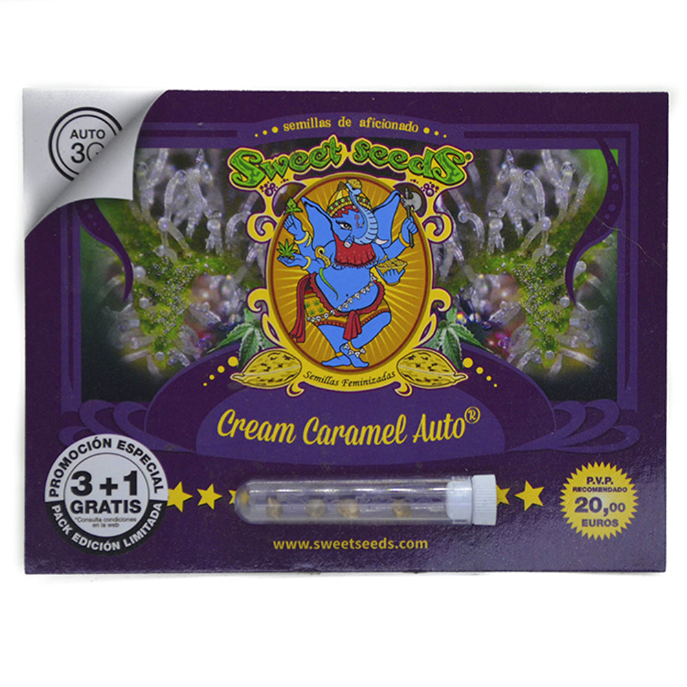 CREAM CARAMEL AUTO X3+1 SWEET SEEDS