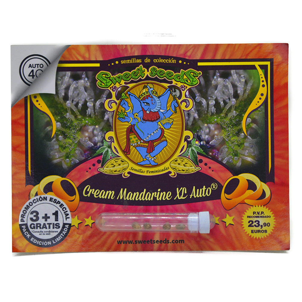 CREAM MANDARINE AUTO XL 3+1 - SWEET SEEDS-1
